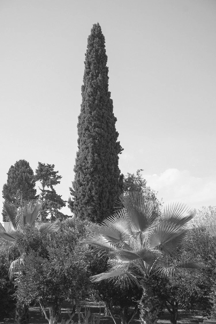 dsc03369